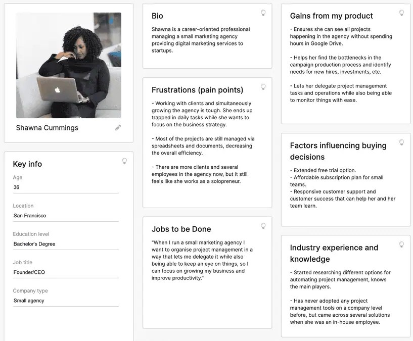 Customer persona example