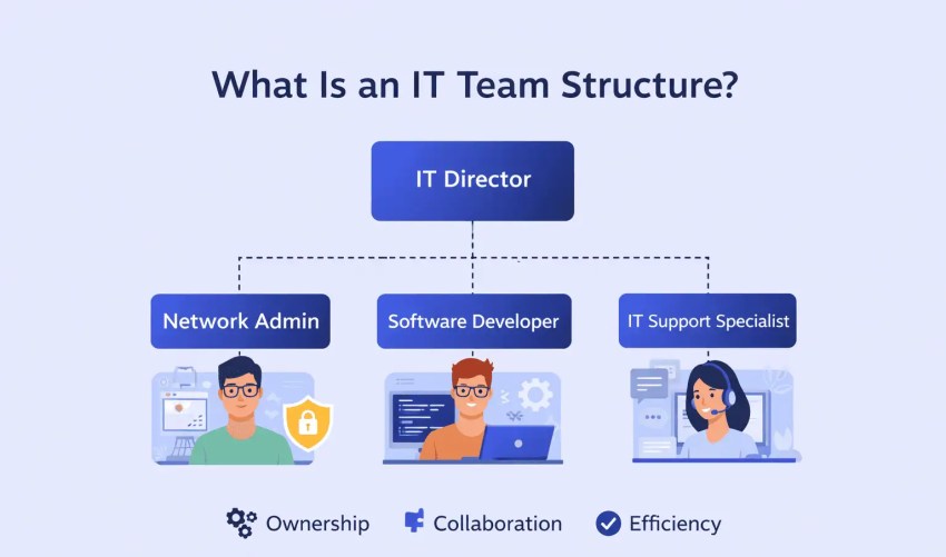 What is an IT team structure?