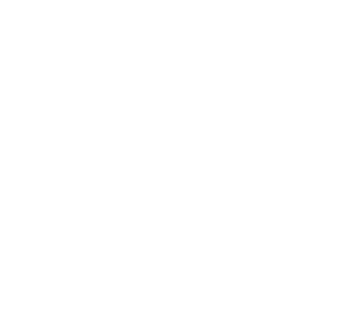 Heart Icon